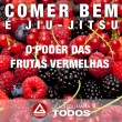 o poder das frutas vermelhas