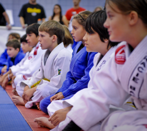Jiu Jitsu experience
