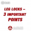 Leg Locks – 3 Important Points